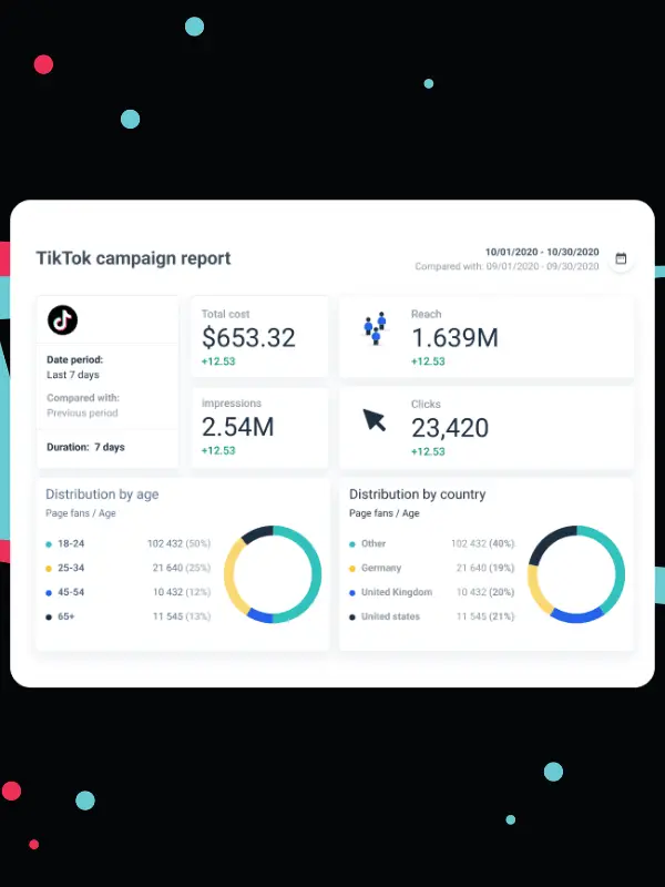 Tiktok campaign report Tiktok campaign report
